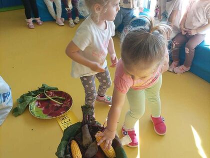 6e8663c5 e9cb 4530 9565 23fe77fe6bcb