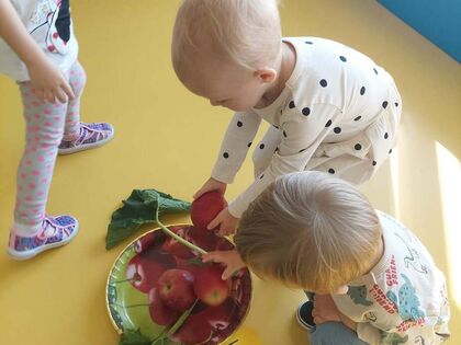 81672cc6 510f 4c01 9648 937cef87b014