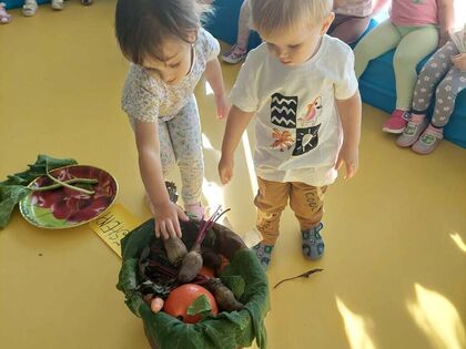 8a6f95fb 9978 4efb ae3d cfdf16a79d79