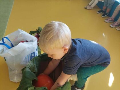 9548de1c b0f8 4ce1 ac85 fdad1edd743d