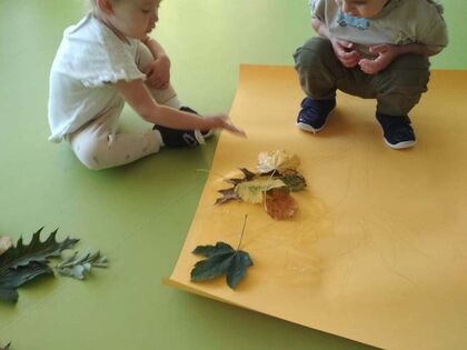 b5523335 b718 4064 8fef f376be7ed91c