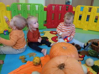 img 20231027 101121 1