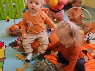 img 20231027 101526 1