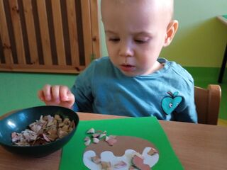 img 20240130 095013 1