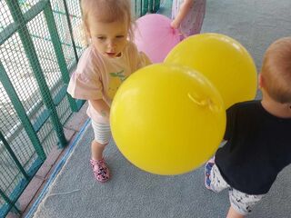 528ED1CD 28BA 4BA8 AE9D F02D3A921ADC