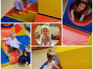 Collage 20240129 124412