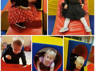 Collage 20240129 124617