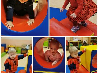 Collage 20240129 124641