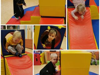 Collage 20240129 124738