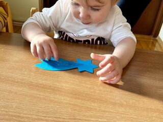 received 338350642229760