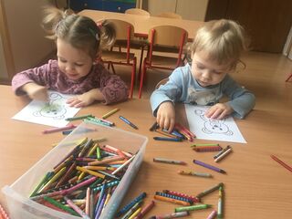 CD780168 8D69 462E 9B74 44C1A48D6DA5