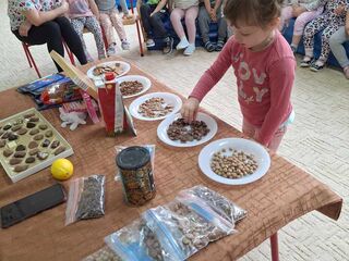 Messenger creation 6223d8c7 5f9a 4218 bd20 2b8b2ff3b211