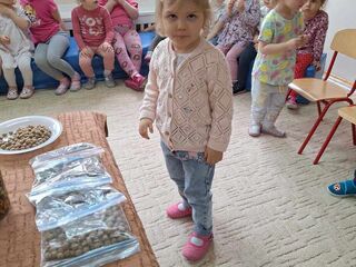 Messenger creation b1088fd7 3469 47a0 abfb 61eddafc5101