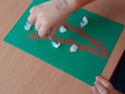 330217012 1656638564787447 3822632455354082291 n