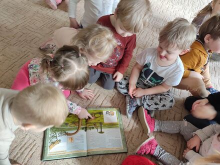 333307490 580677937333829 5573051154409637567 n