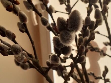 334527575 164984356338065 2566643142953196220 n