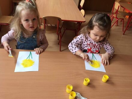 334868046 904666667437478 7017935654910475263 n