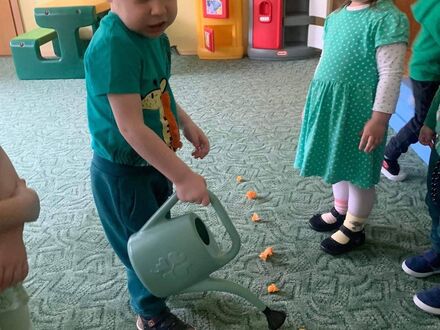 334872583 205220268797938 4102821391547185953 n