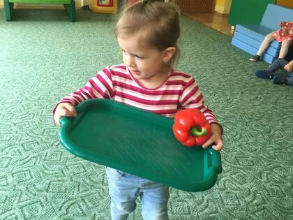 348354693 211612654995099 3262611053666674018 n