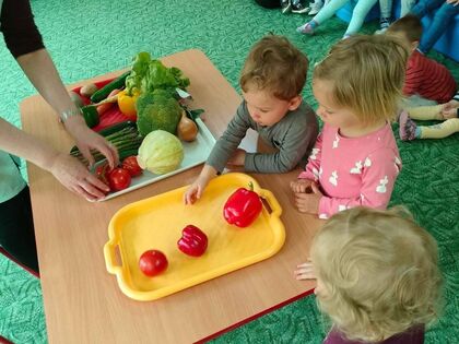 348355380 268515318889714 6216988368736192152 n