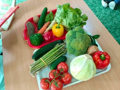 348356146 662177109074111 743087155371496720 n