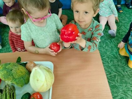 348356161 932314101346472 3830626559073534266 n