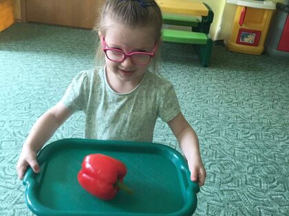 348356551 210035888503881 7610539297582558690 n