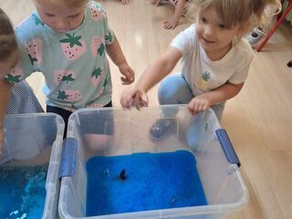 Messenger creation 071933a9 9886 4e7d 8c76 8cc3b3769fc7