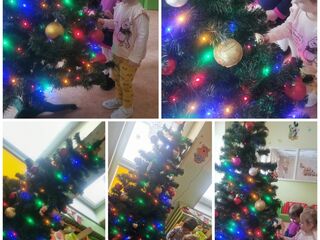 Collage 20231206 153745