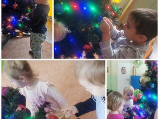 Collage 20231206 153832