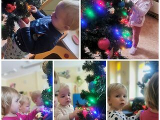 Collage 20231206 153856