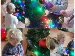 Collage 20231206 153918