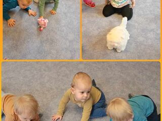 received 911926643957845