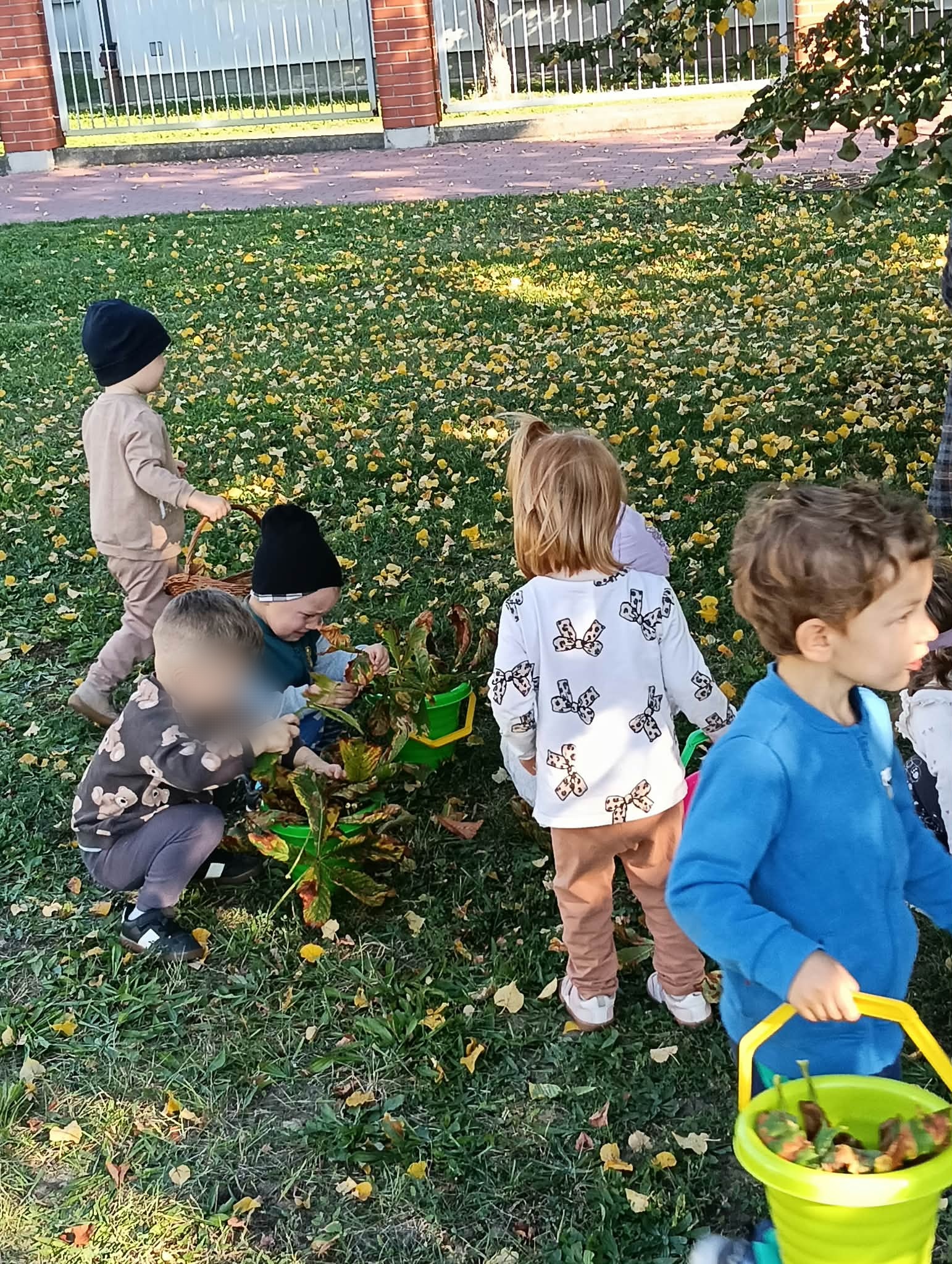 Zdjęcie przedstawia dzieci podczas spaceru i szukania darów jesieni