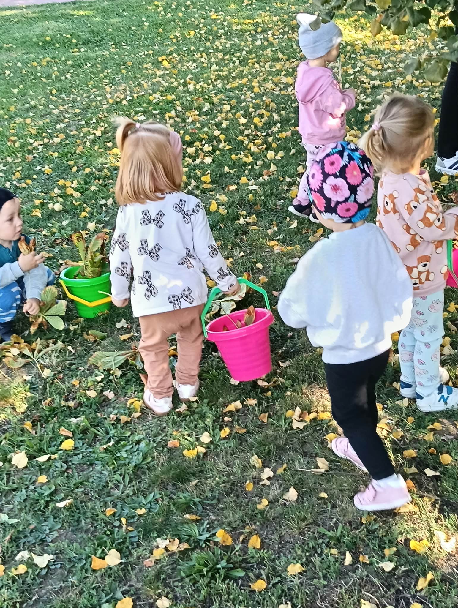 Zdjęcie przedstawia dzieci podczas spaceru i szukania darów jesieni