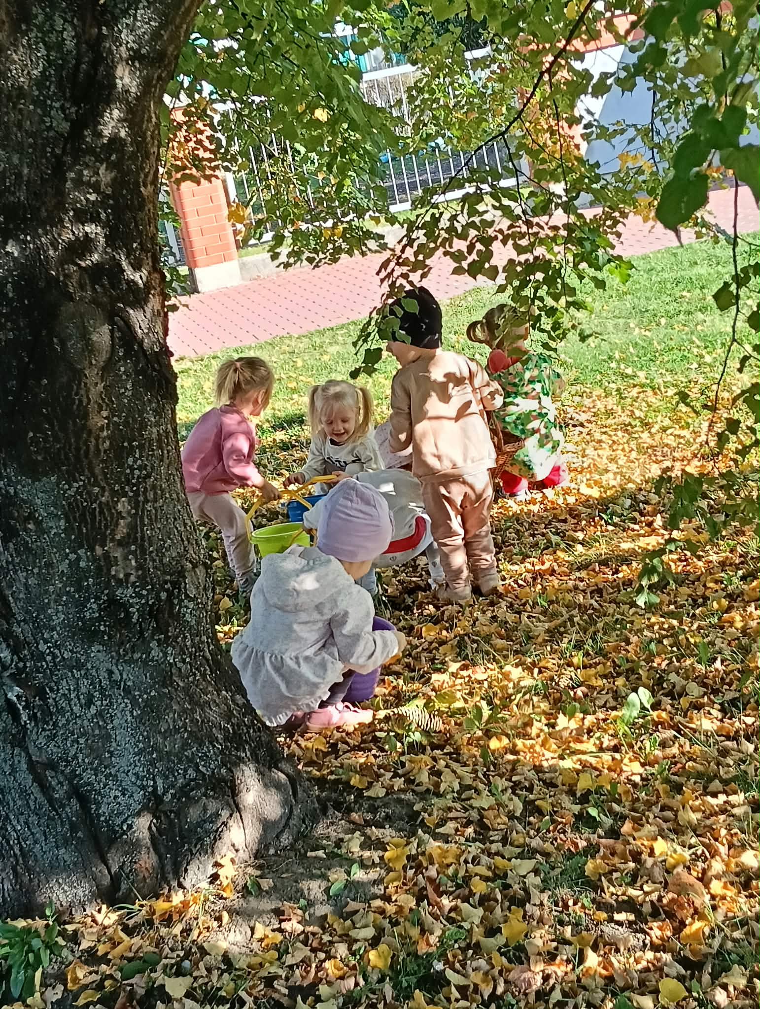 Zdjęcie przedstawia dzieci podczas spaceru i szukania darów jesieni