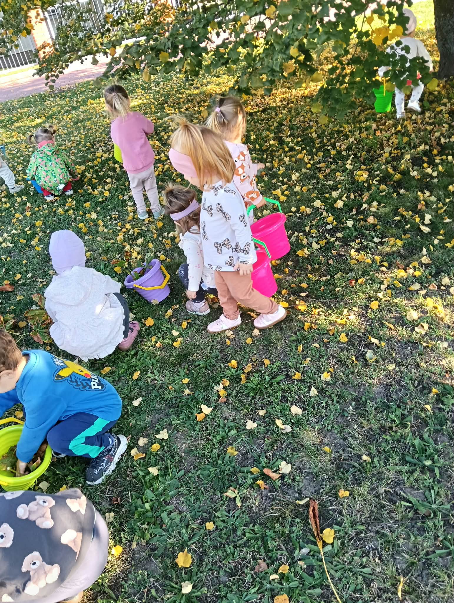 Zdjęcie przedstawia dzieci podczas spaceru i szukania darów jesieni