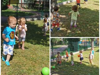 Collage 20240610 062909